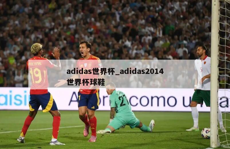 adidas世界杯_adidas2014世界杯球鞋