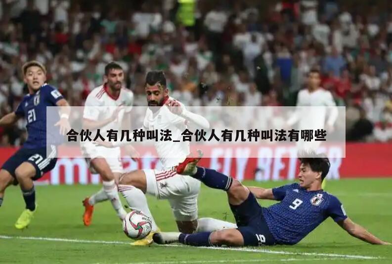 合伙人有几种叫法_合伙人有几种叫法有哪些