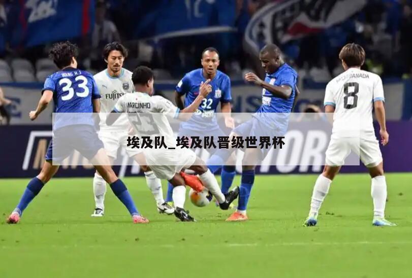 埃及队_埃及队晋级世界杯