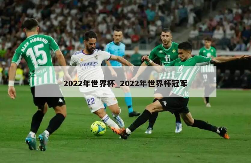 2022年世界杯_2022年世界杯冠军