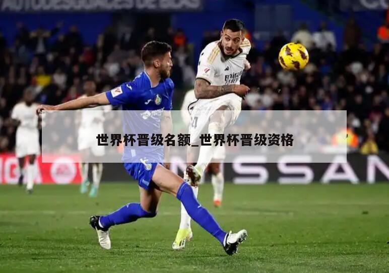 世界杯晋级名额_世界杯晋级资格