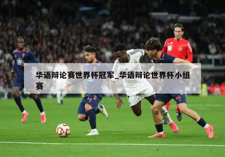 华语辩论赛世界杯冠军_华语辩论世界杯小组赛