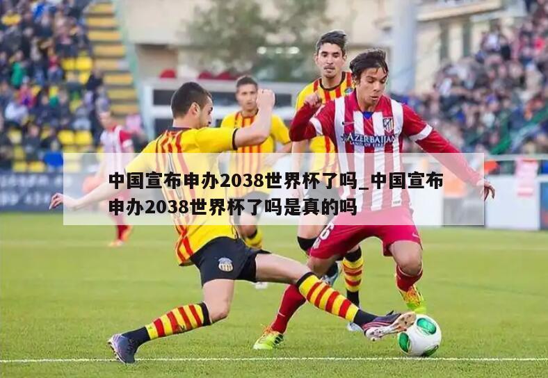 中国宣布申办2038世界杯了吗_中国宣布申办2038世界杯了吗是真的吗