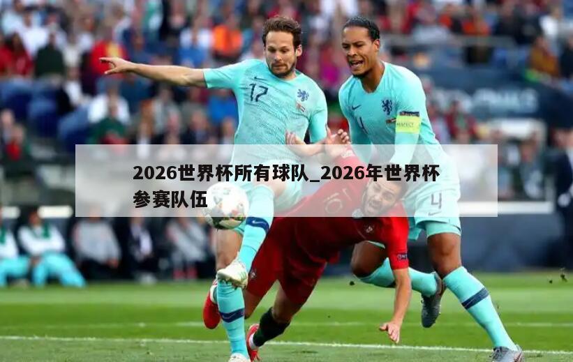 2026世界杯所有球队_2026年世界杯参赛队伍