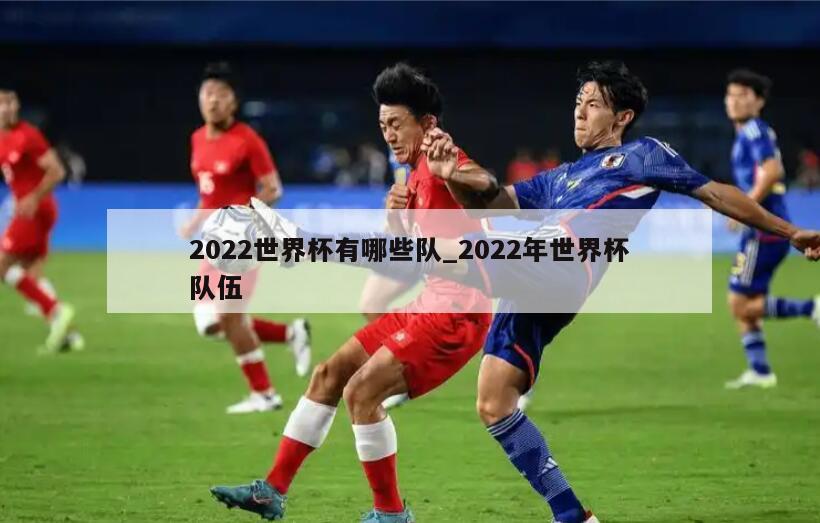 2022世界杯有哪些队_2022年世界杯队伍