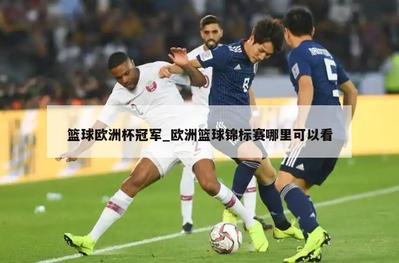 篮球欧洲杯冠军_欧洲篮球锦标赛哪里可以看