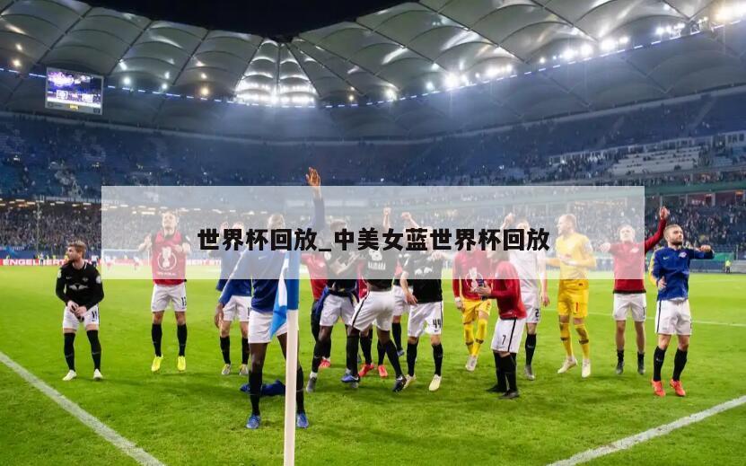 世界杯回放_中美女蓝世界杯回放
