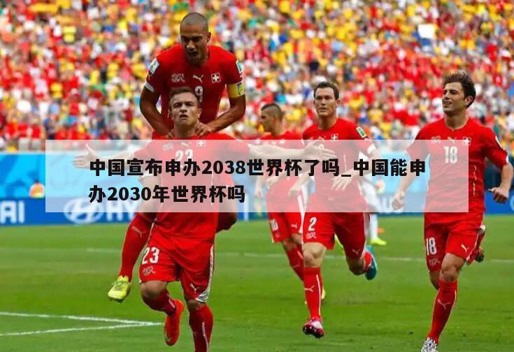 中国宣布申办2038世界杯了吗_中国能申办2030年世界杯吗