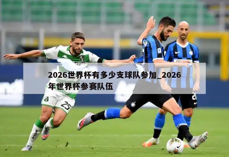2026世界杯有多少支球队参加_2026年世界杯参赛队伍